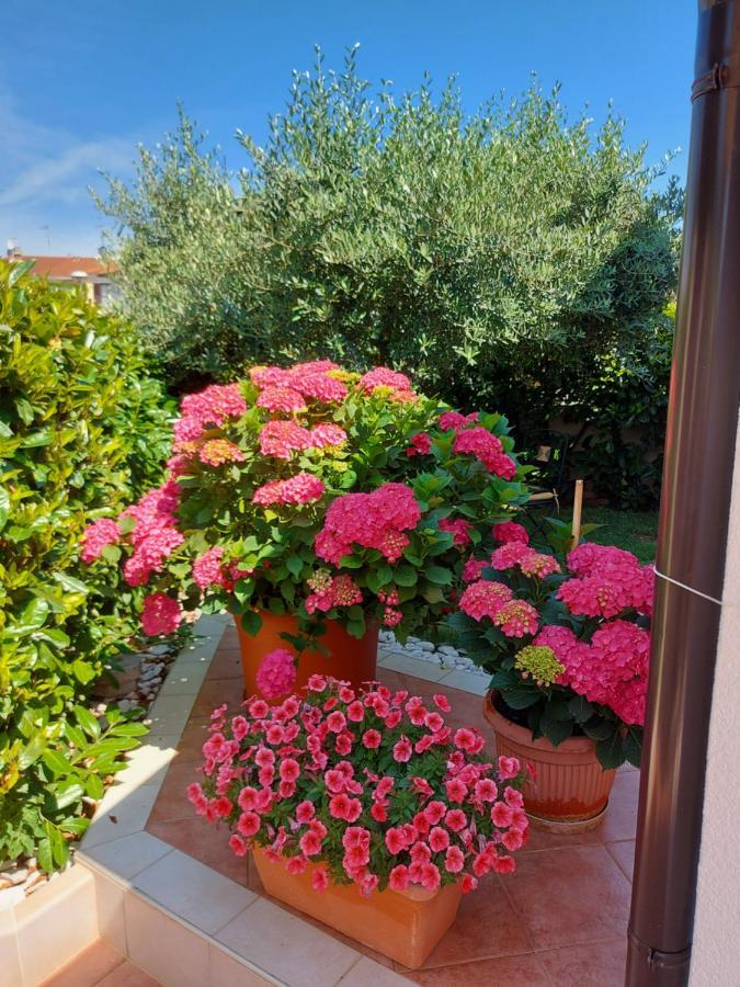 Appartamento Alida Umag Exterior foto