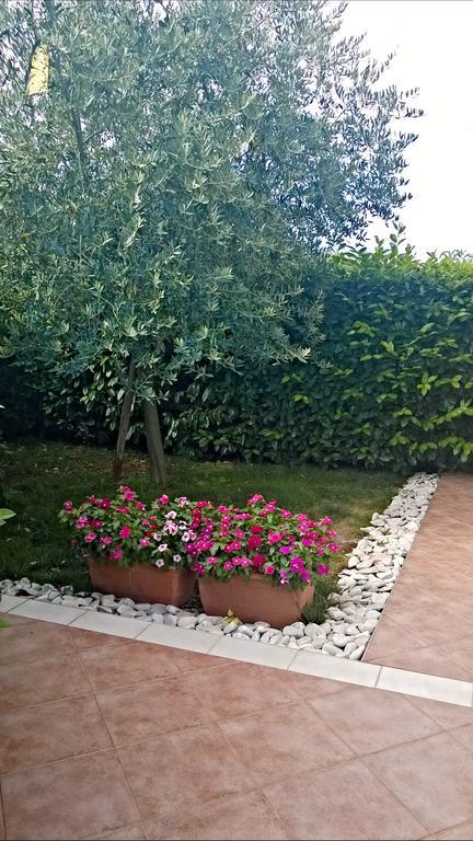 Appartamento Alida Umag Habitación foto